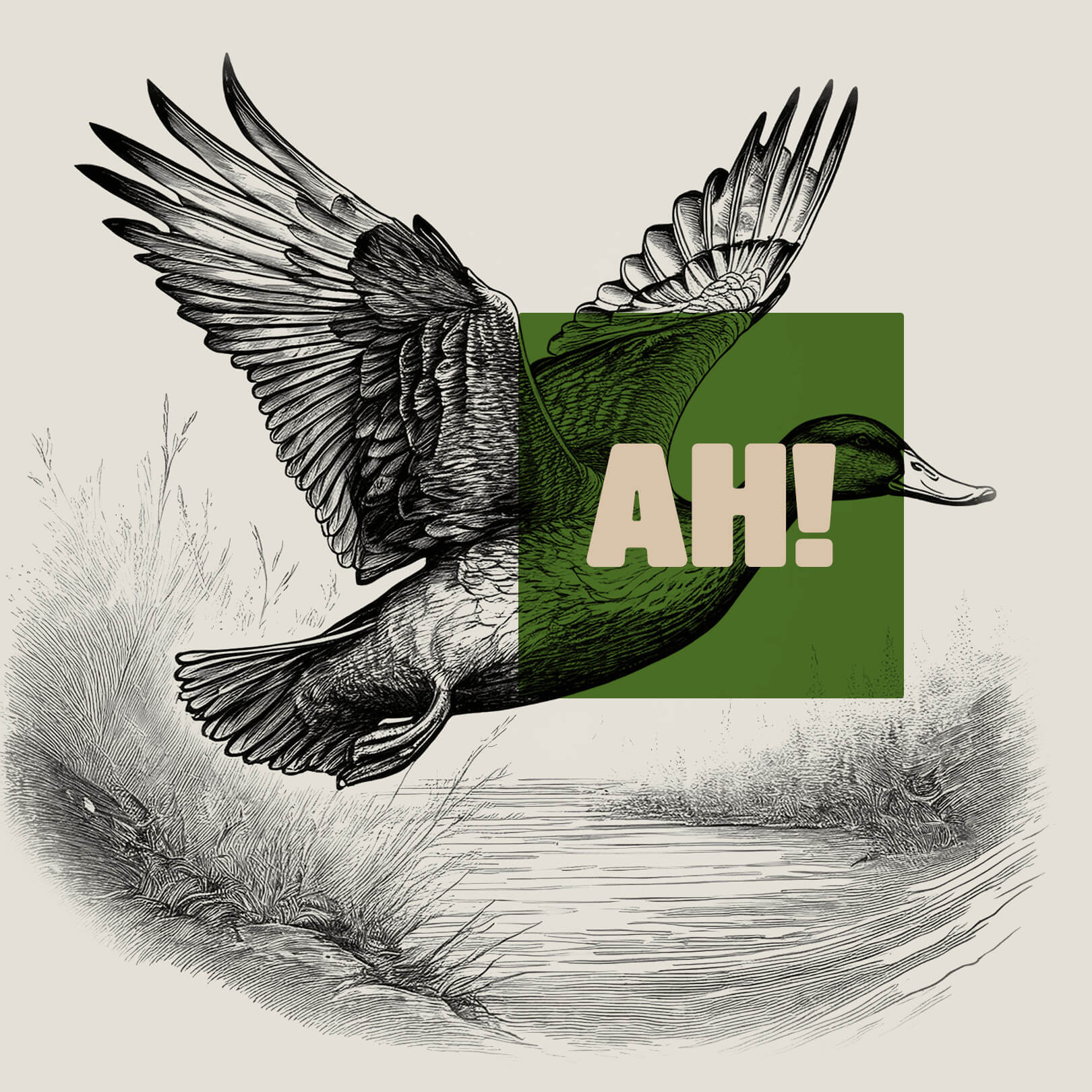 A mallard drake in flight with Austin’s logo placed very precisely on top of it.